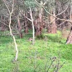 Es waren wirklich viele!