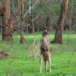 Ich bin der Größte!