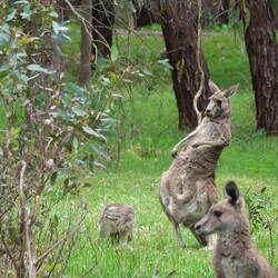 Was macht der denn da?