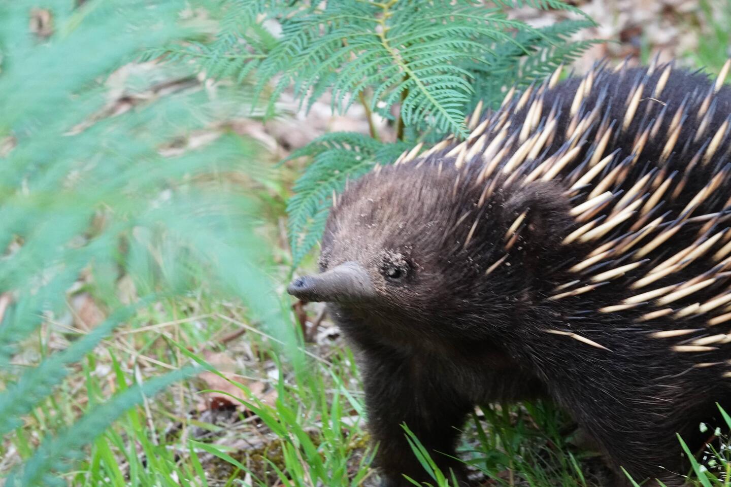 Was für ein putziges Kerlchen 🥰