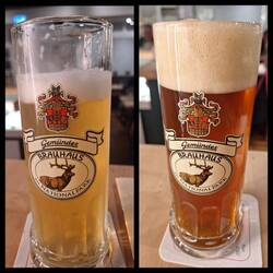 Gemünder Bier zur Feier des Tages🤣