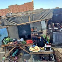 Falafel frisch zubereitet für das Frühstück