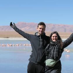 Lagune #2 mit weiteren vielen Flamingos