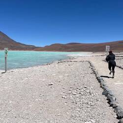 Ganz schön windig hier!