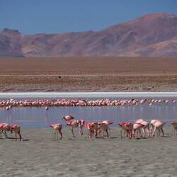 Auf ein weiteres: Lagune #3 mit einem mega Hintergrund