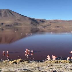 Zum Tagesabschluss noch eine größere idyllische Lagune