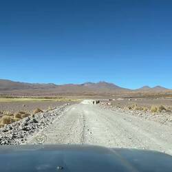 Die Straße ist nicht nur bei Autos beliebt