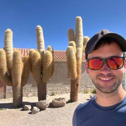 Unverschämte Kakteen 🌵🖕🏽🌵