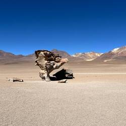 Danach ging es in eine Ecke mit interessanten Steinformationen