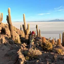 Surreal, dass es hier solch eine "Kakteen-Insel" in der Salzwüste gibt