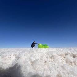 Tanjas Reise-Glücksschildkröte von ihrer Schwester hatte einen plötzlichen Wachstumsschub