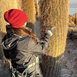 Ganz schön stachelig!