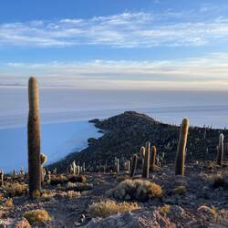 Wir sind von der überraschend schönen Aussucht geflasht