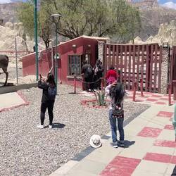 Wir machen einen Ausflug in das "Valle de la Luna"