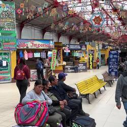 Wir schauen uns nach Weiterfahrtmöglichkeiten um