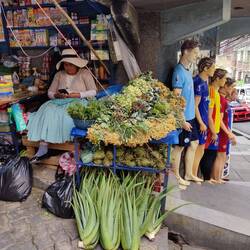 Wie wäre es mit Aloe Vera oder Tee aus frischen Kräutern?