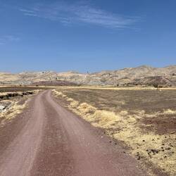 Dann geht die Reise weiter. Unser heutiges Endziel soll ein Bereich mit Dino-Fußspuren sein