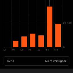 33.000 Schritte an Tag 1 und immerhin 20.000 an Tag 2