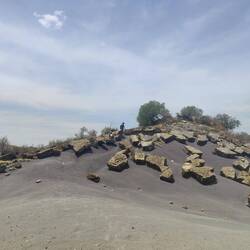 Ob das der richtige Weg ist?