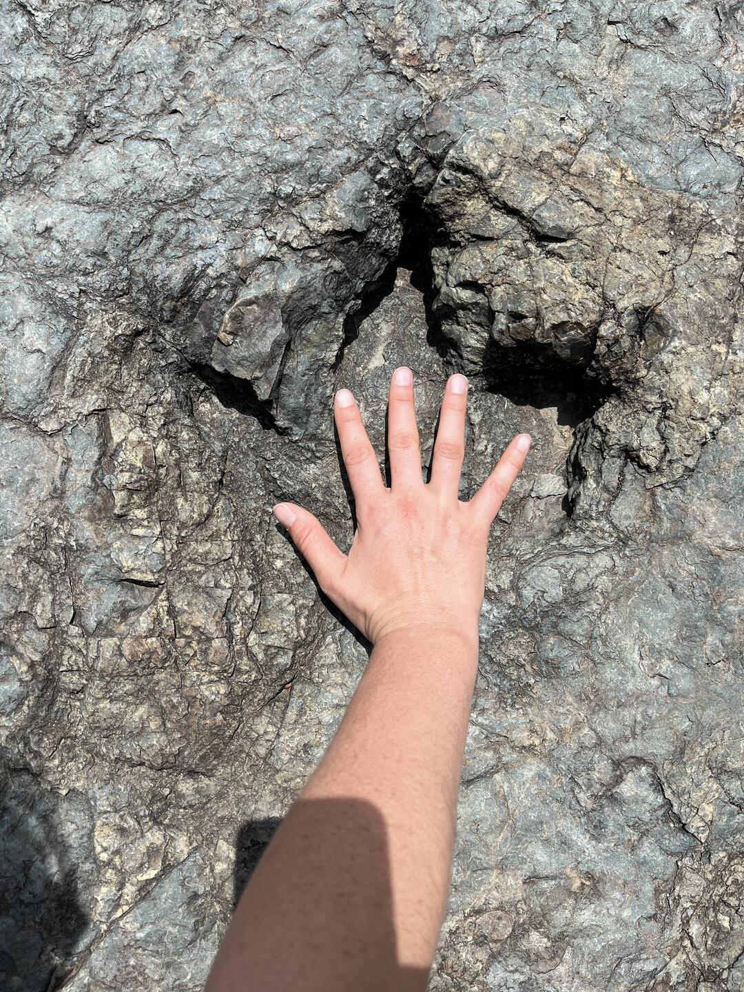 Bei der Wanderung gibt es einen Bereich mit weiteren Dino-Spuren