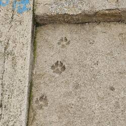 ..zumindest ein Hund hat hier seine Spuren hinterlassen...falls Christoph schon nicht hier war 😄