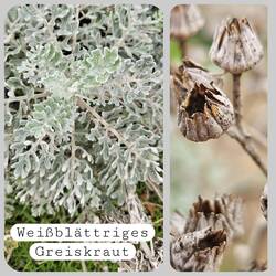 ...bei unserer Jausenstation entdeckt🧐