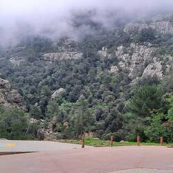 Kleine Wanderung in den Wald von Bonifatu.