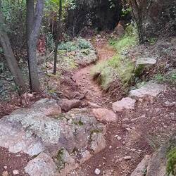 So sieht der Weg aus.