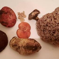 Bei der Wanderung auch noch Pilze gefunden.