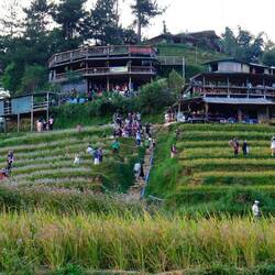 Touristenansturm in La Pan Tan