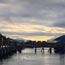 Ankunft am Hafen Juneau