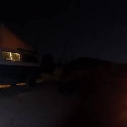 Der Vollmond erhellt die Nacht