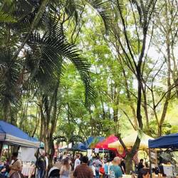 Feria Verde