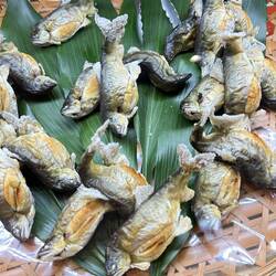 Fish, a delicacy that you would take as a house gift