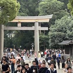 Torii gate consists of two pillars topped with a double curved lintel and a tie beam,