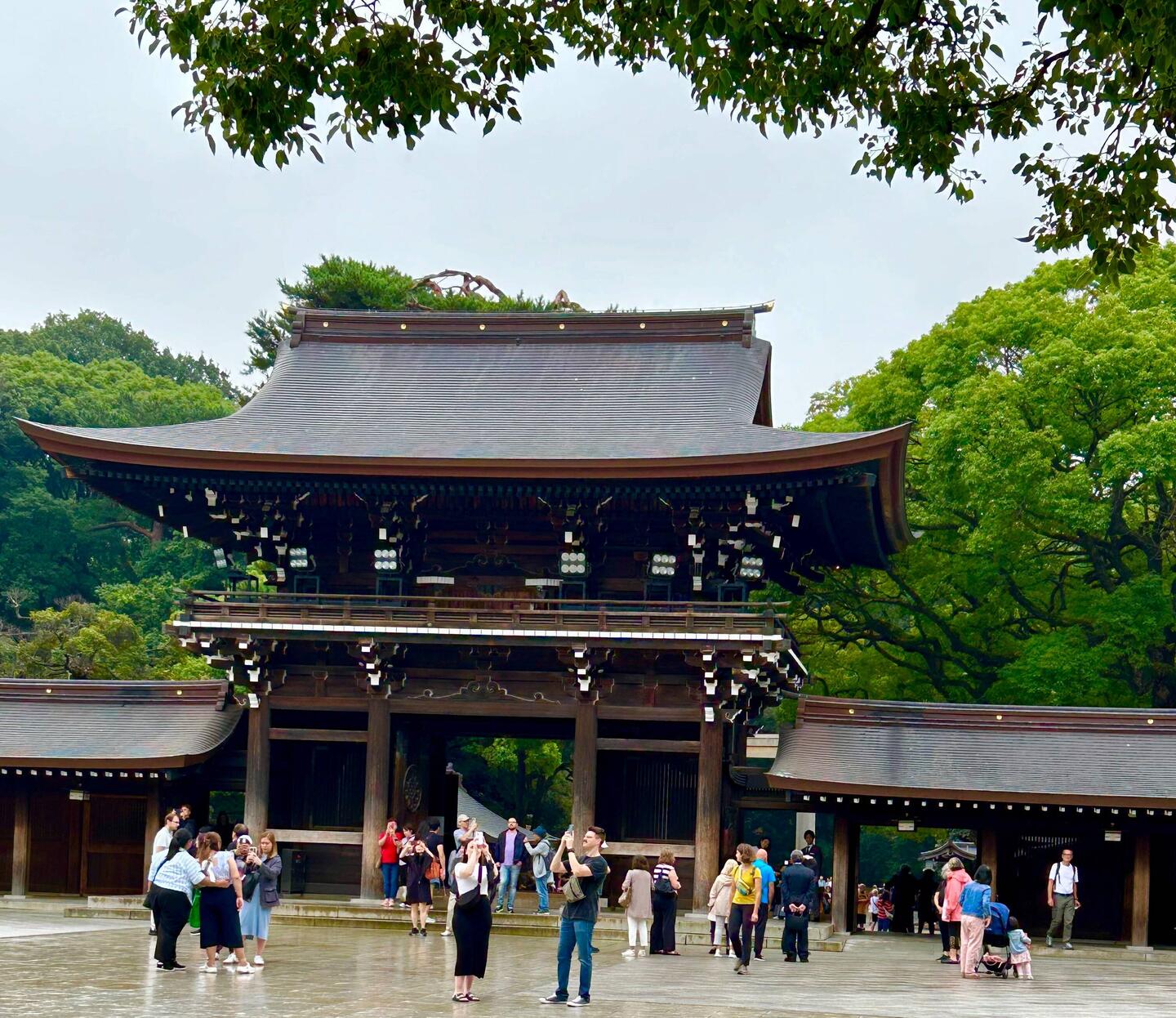 Meiji Shrine dedicated to Emperor Meiji, father of modern Japan. Popular for weddings.