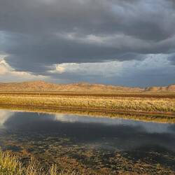 Thunderstorm Brewing