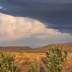 Thunderstorm Brewing