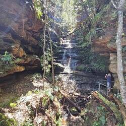 Den Fenella creek overflow