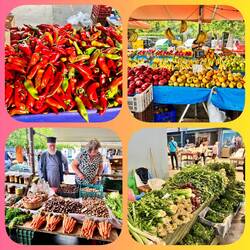 Obst- und Gemüsemarkt