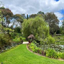 Garten der Unterkunft