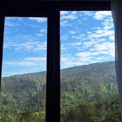 Blick aus dem Bett
