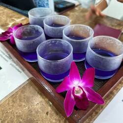 Butterfly Pea Tea Soda