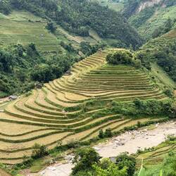 Dieses Trisfeld sieht aus wie ein Fuß, es heißt Shoe tip rice field.