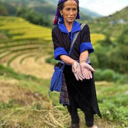 Sie zeigt ihre vom Färben von Stoff mit Indigo blau verfärbten Hände