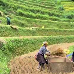 Bei dieser Hitze absolute Schwerstarbeit