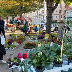 Blumenmarkt