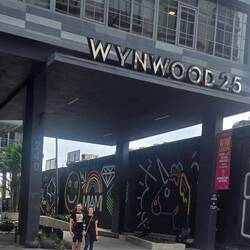 Street art dans le quartier de Wynwood