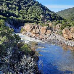 Ziemlich starke Strömung.