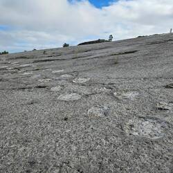 Daar hebben ze gelopen 🦕🦖